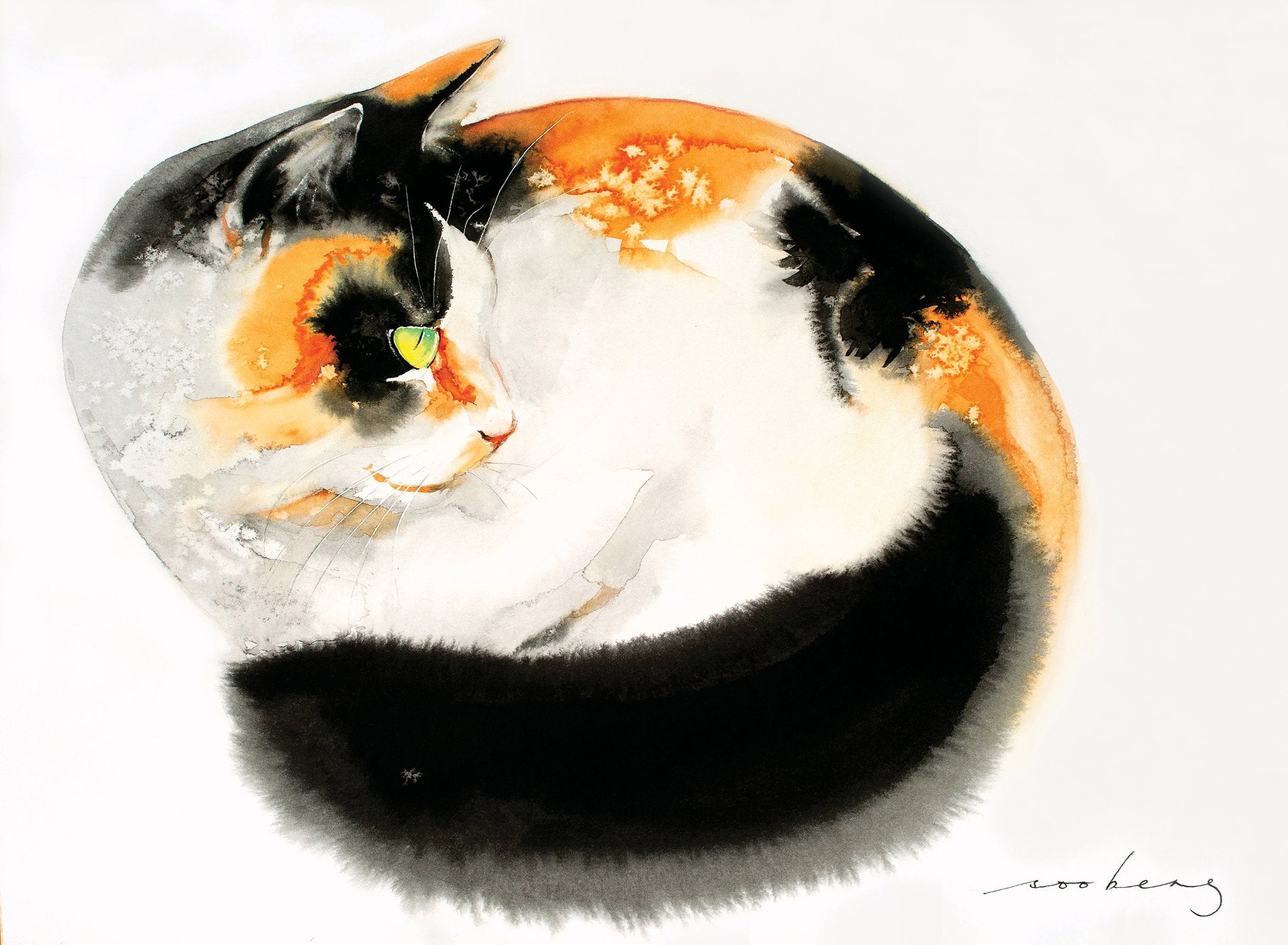 69164a62e1b8ea140711df10_cosy-cat_1773876404094.jpg