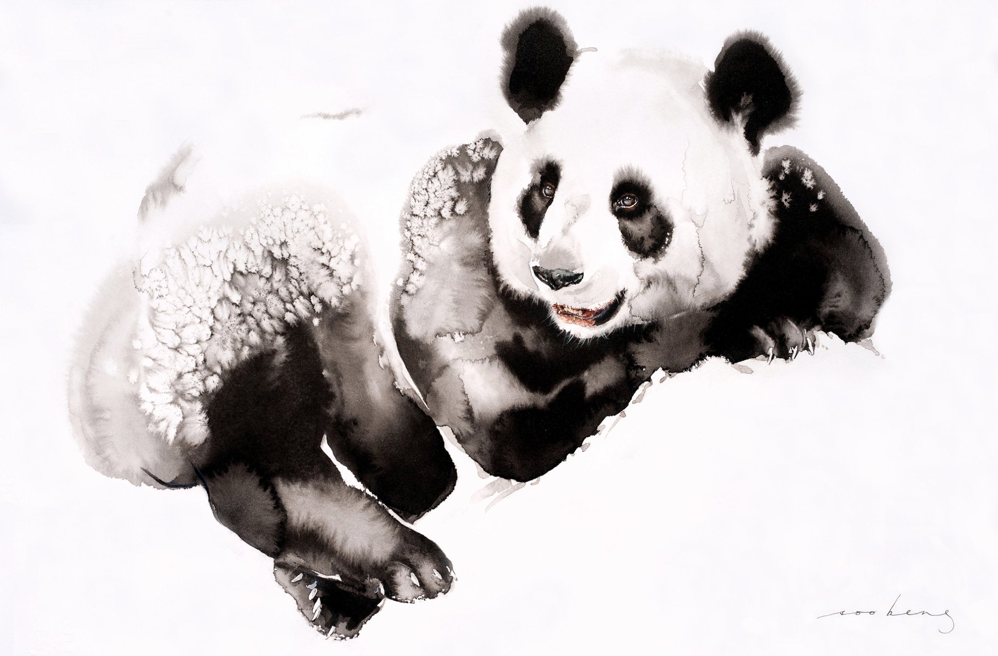 69164a62e1b8ea140711df10_cosy-panda3_1773874394934.jpg