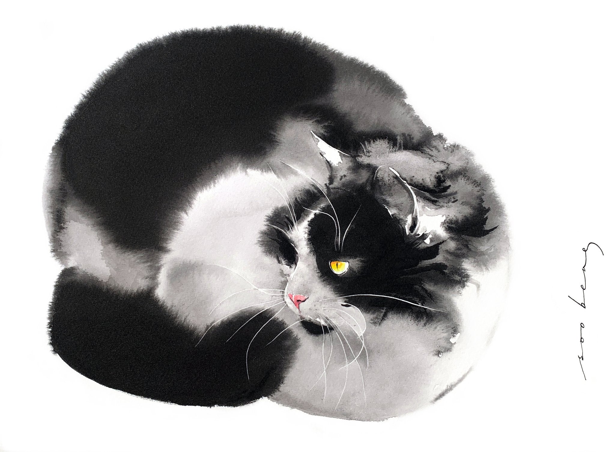 69164a62e1b8ea140711df10_cosy-whiskers-copy_1773181667445.jpg
