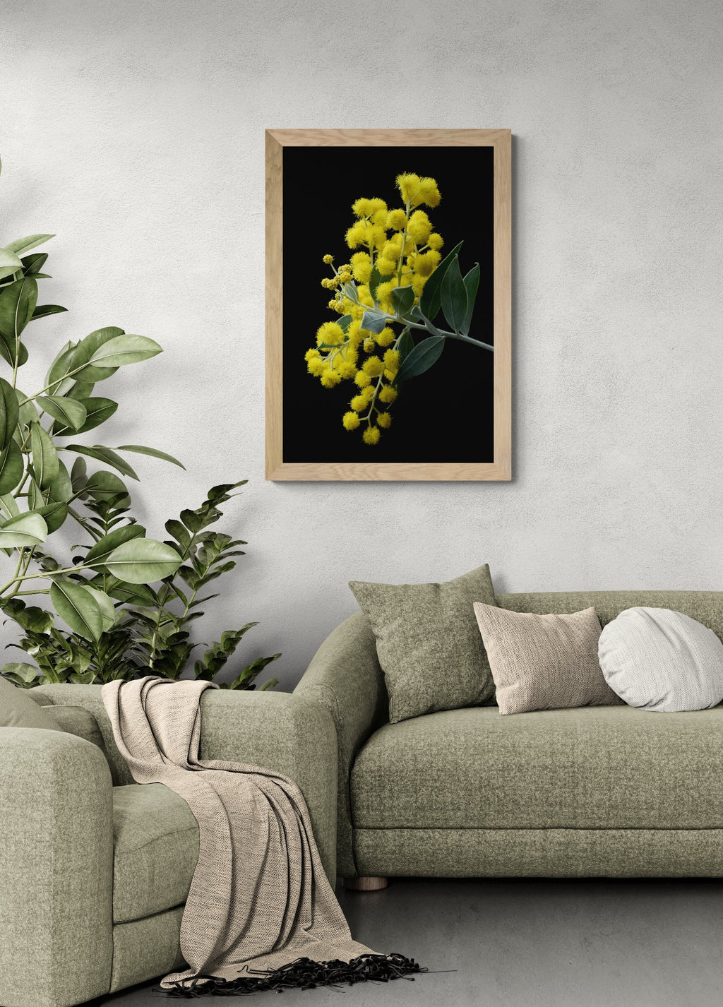 69164a62e1b8ea140711df10_cozy-living-room-with-a-sofa-and-armchair-4-_1782614162313.jpg