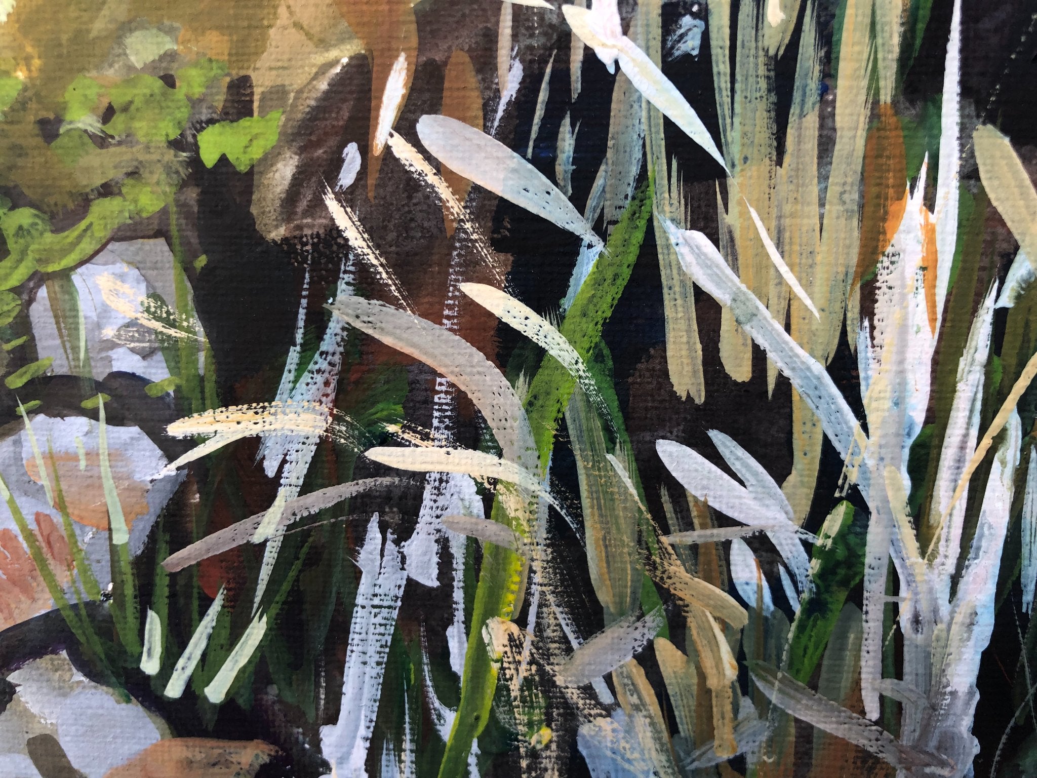 69164a62e1b8ea140711df10_creek-in-morialta-falls-closeup-1_1770364070833.jpg