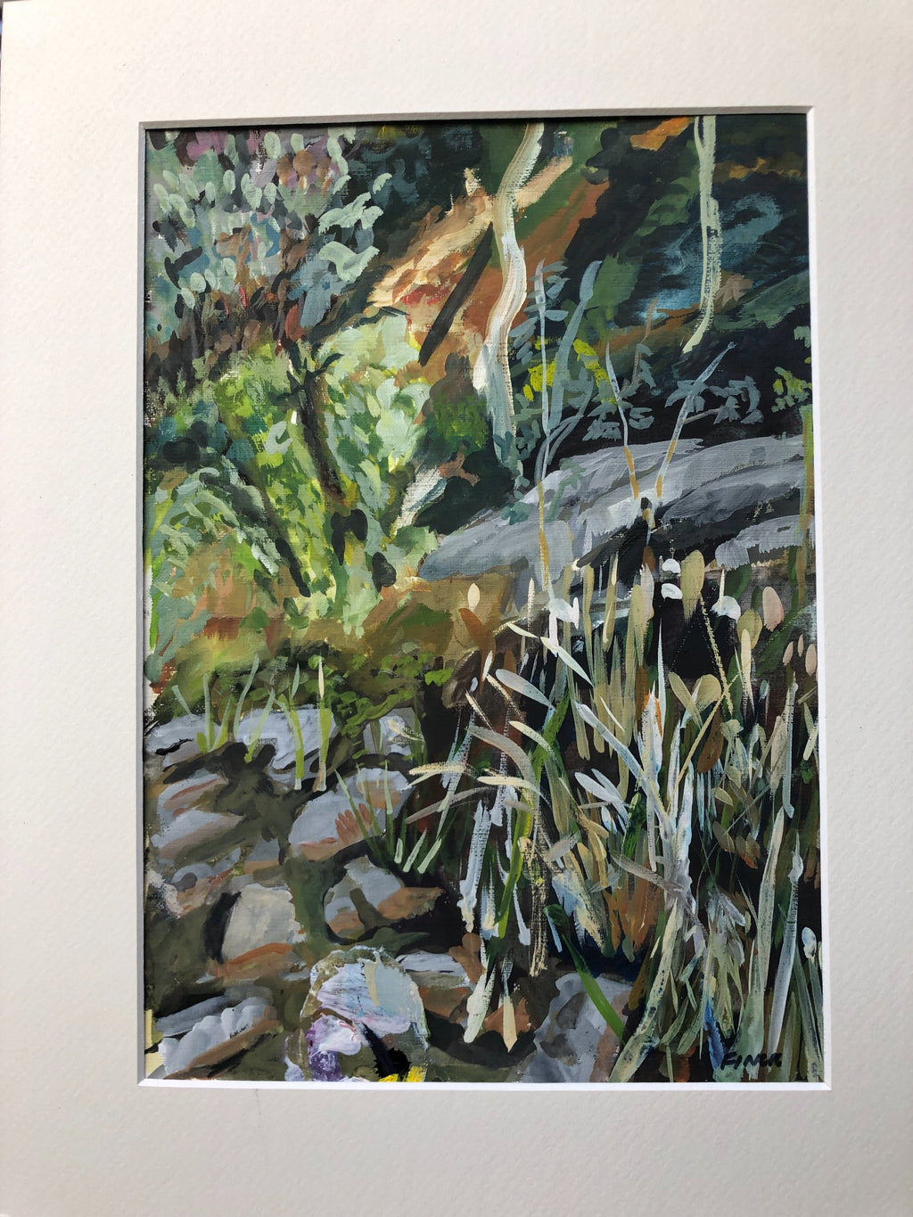 69164a62e1b8ea140711df10_creek-in-morialta-falls_1770364070835.jpg