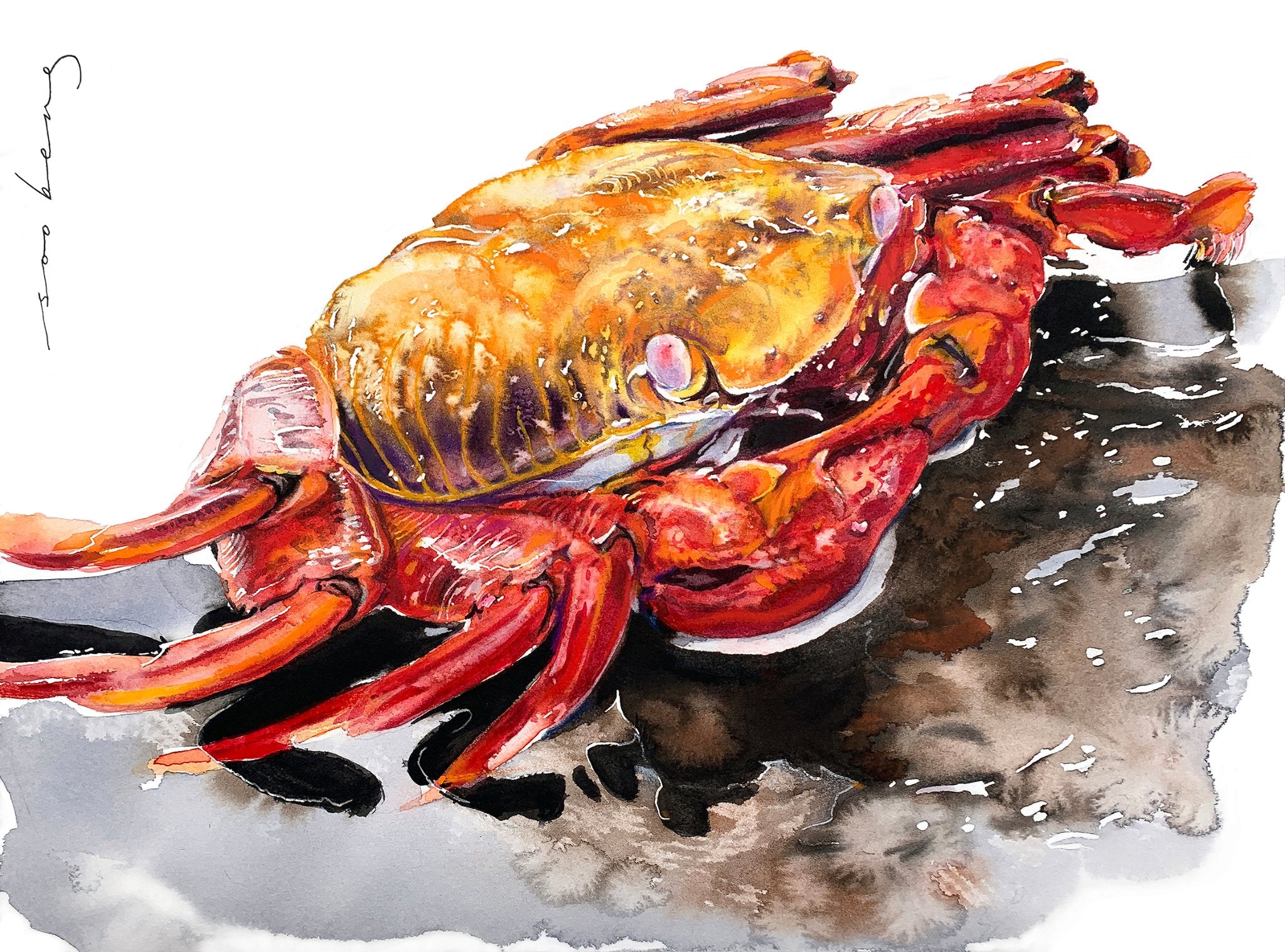 69164a62e1b8ea140711df10_crimson-claws_1773181898330.jpg
