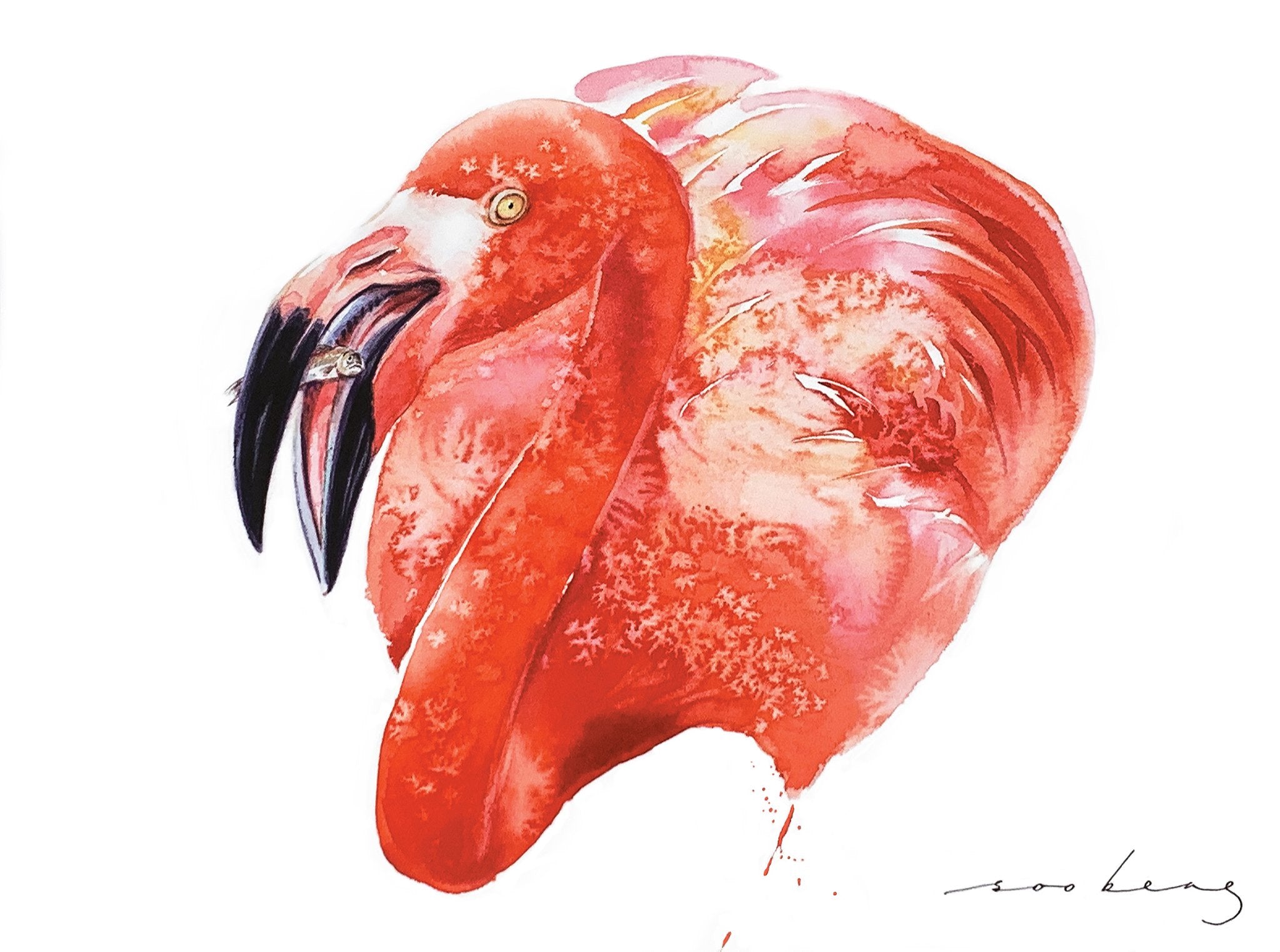 69164a62e1b8ea140711df10_crimson-hunter_1773268318747.jpg