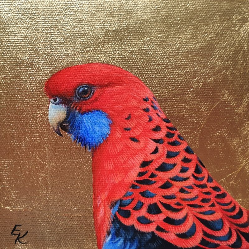 69164a62e1b8ea140711df10_crimson-rosella-15x15-800x799-_1767091310600.jpg