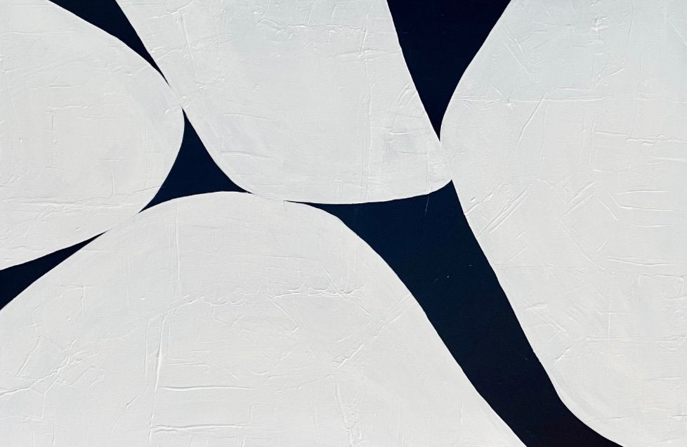 69164a62e1b8ea140711df10_crop_1775797241395.jpg