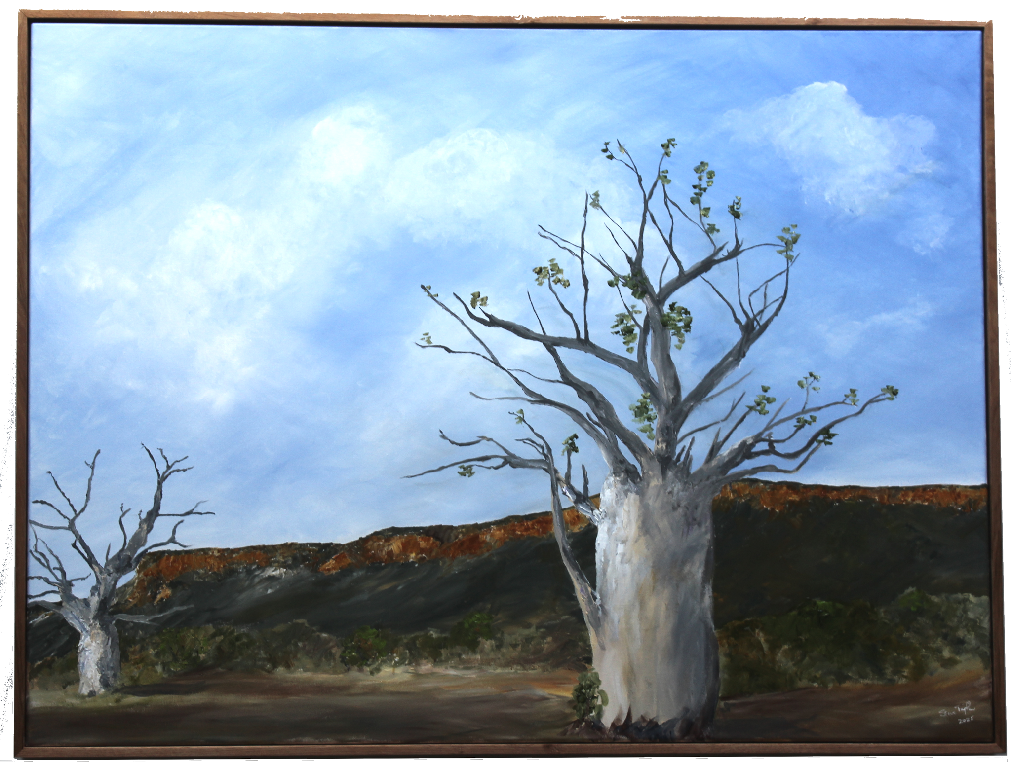 69164a62e1b8ea140711df10_cropped-main_1780221903777.png
