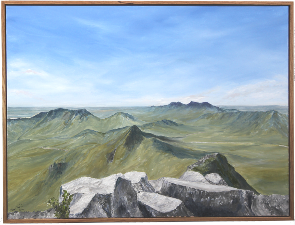 69164a62e1b8ea140711df10_cropped-main_1780296297813.png