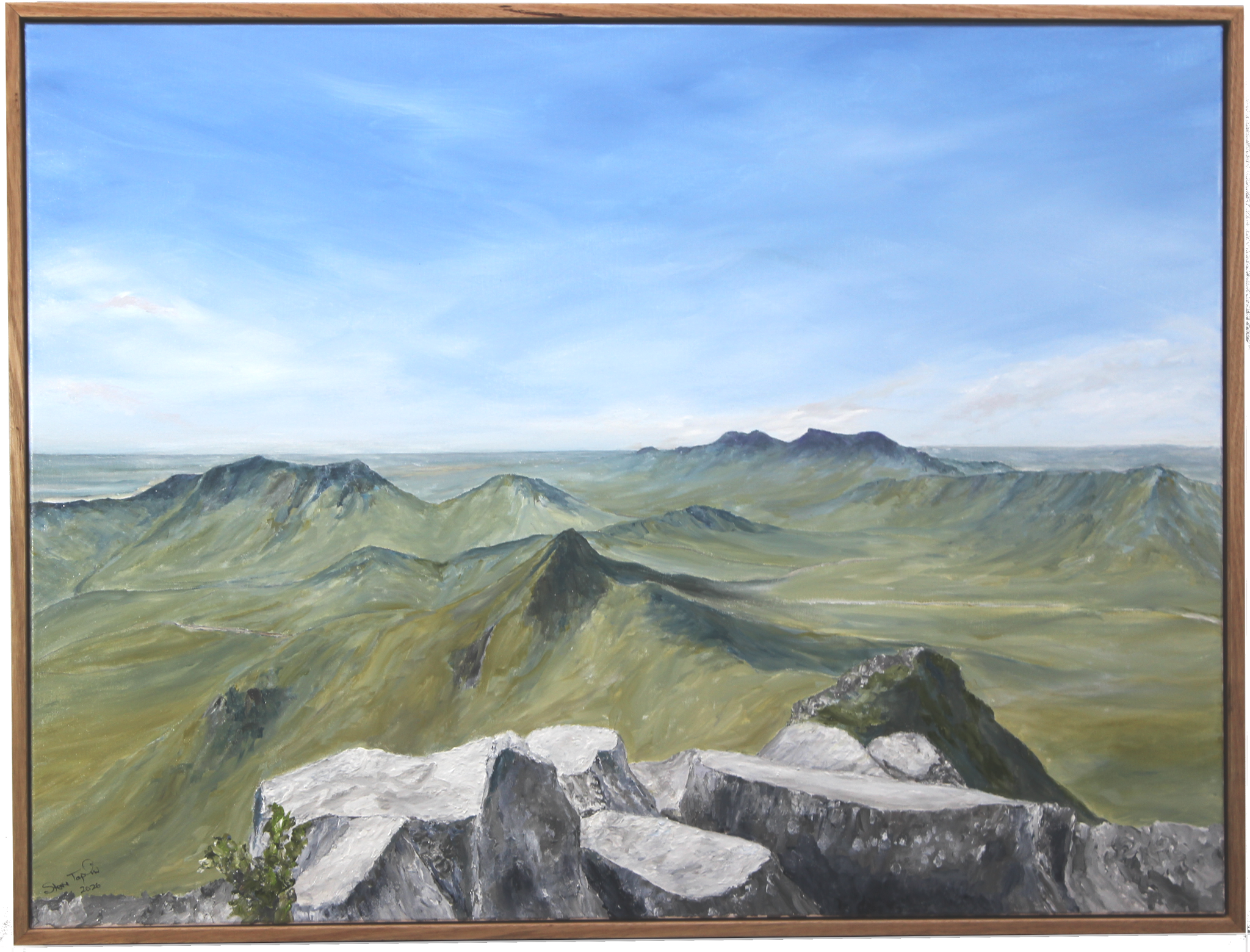 69164a62e1b8ea140711df10_cropped-main_1780296297813.png