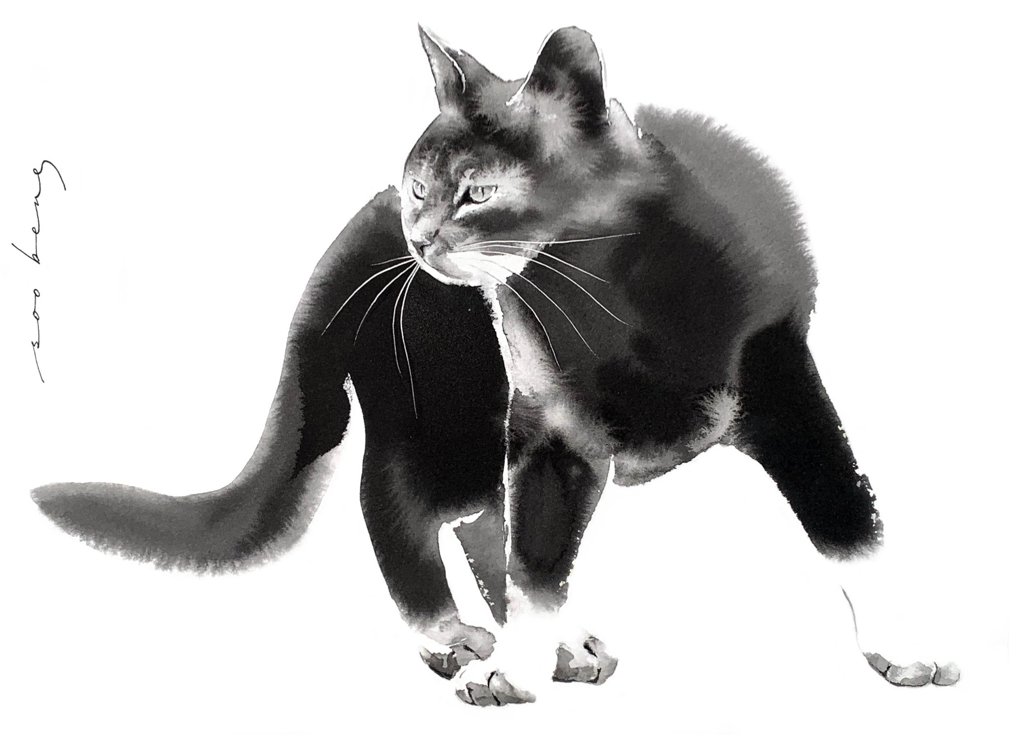 69164a62e1b8ea140711df10_curious-whiskers_1784438133324.jpg
