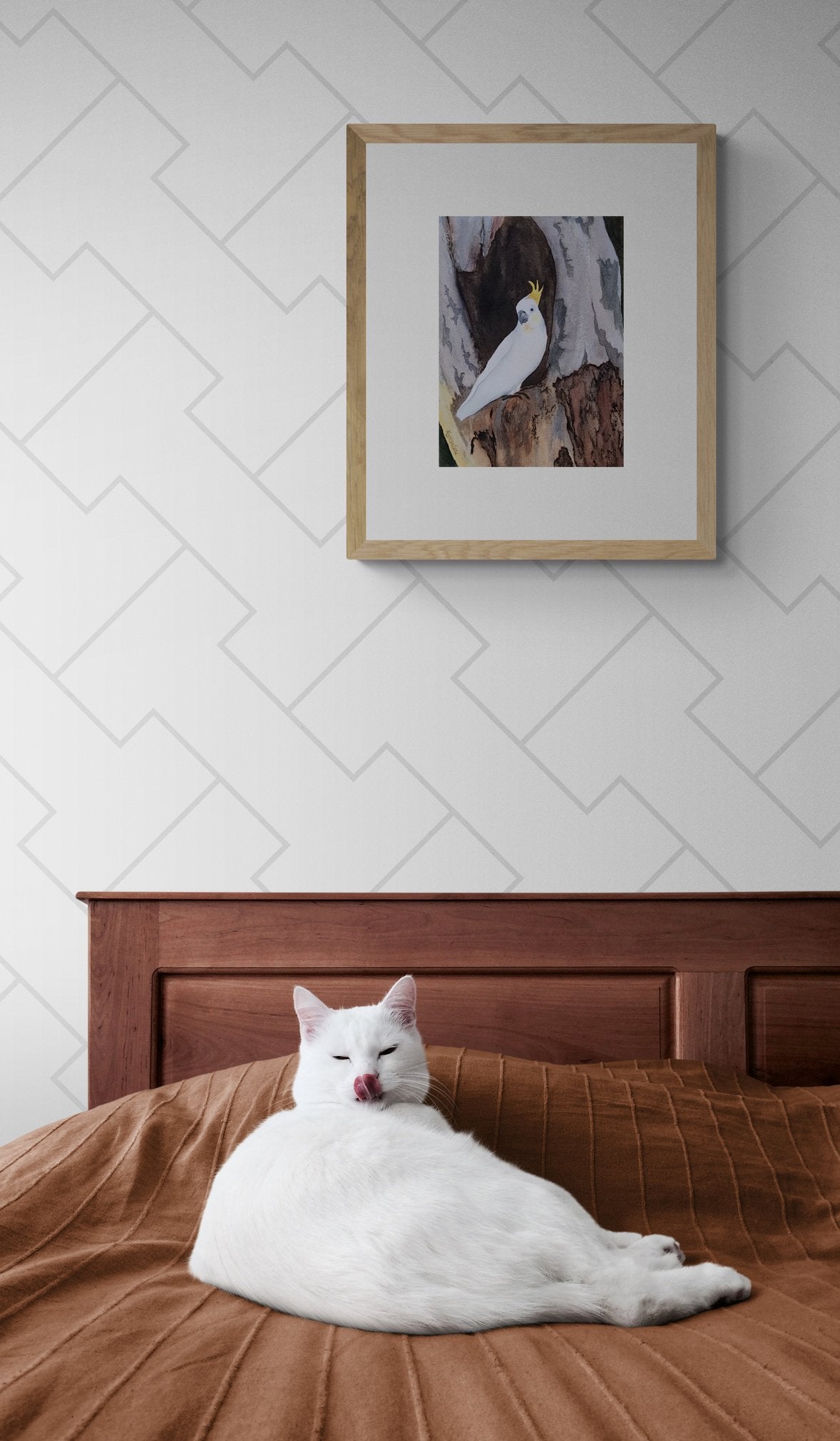 69164a62e1b8ea140711df10_cute-white-cat-lying-on-bed_1777686006910.jpg