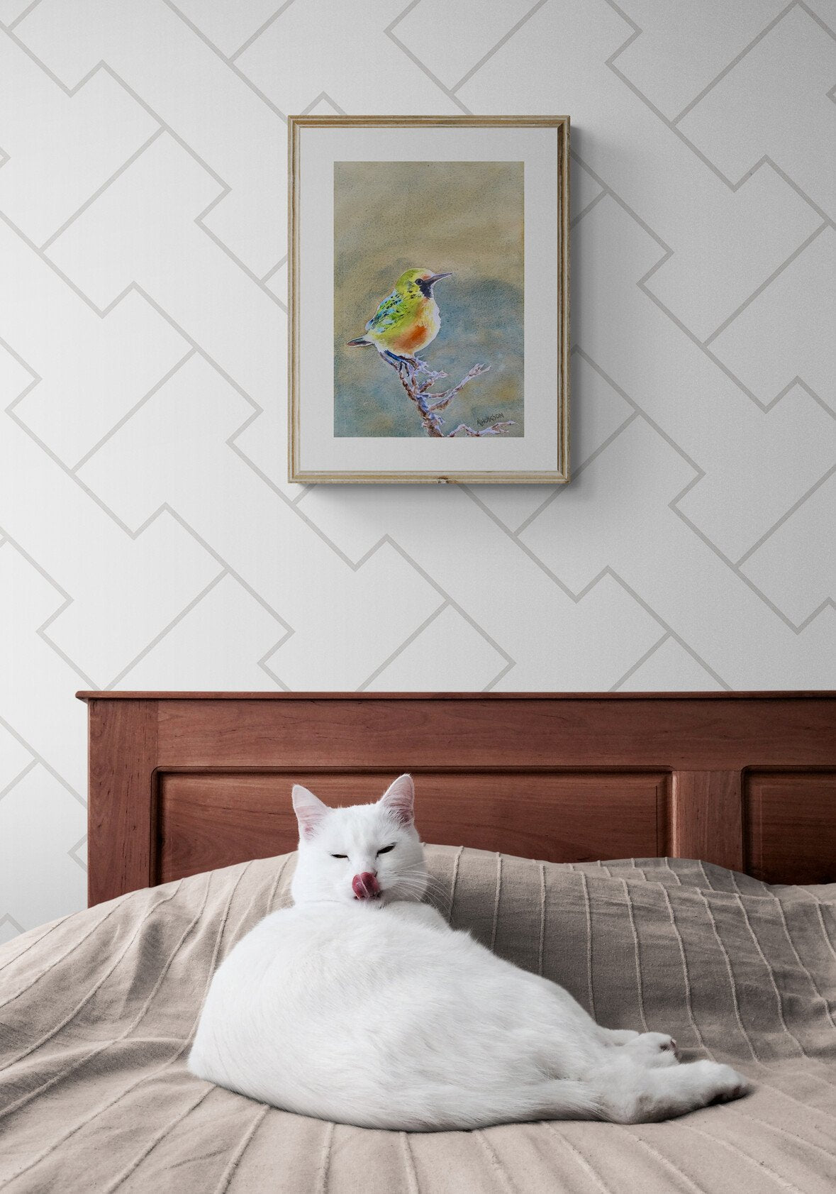 69164a62e1b8ea140711df10_cute-white-cat-lying-on-bed_1787564830274.jpg