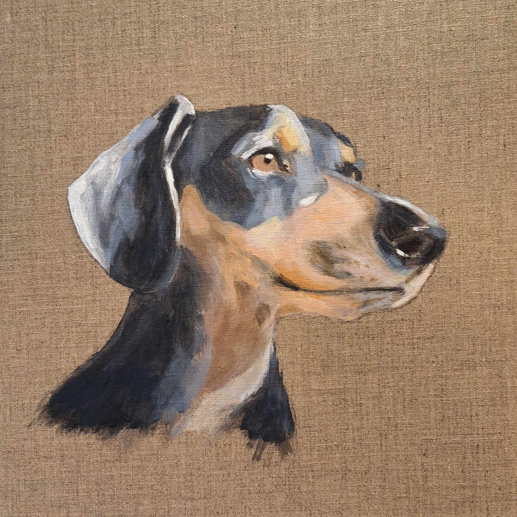 69164a62e1b8ea140711df10_dachshund3_1785133584568.jpeg