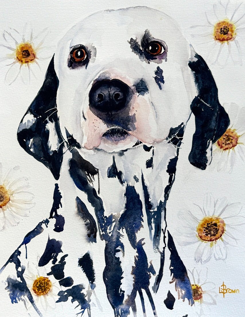 69164a62e1b8ea140711df10_daisy_1774919495947.jpg