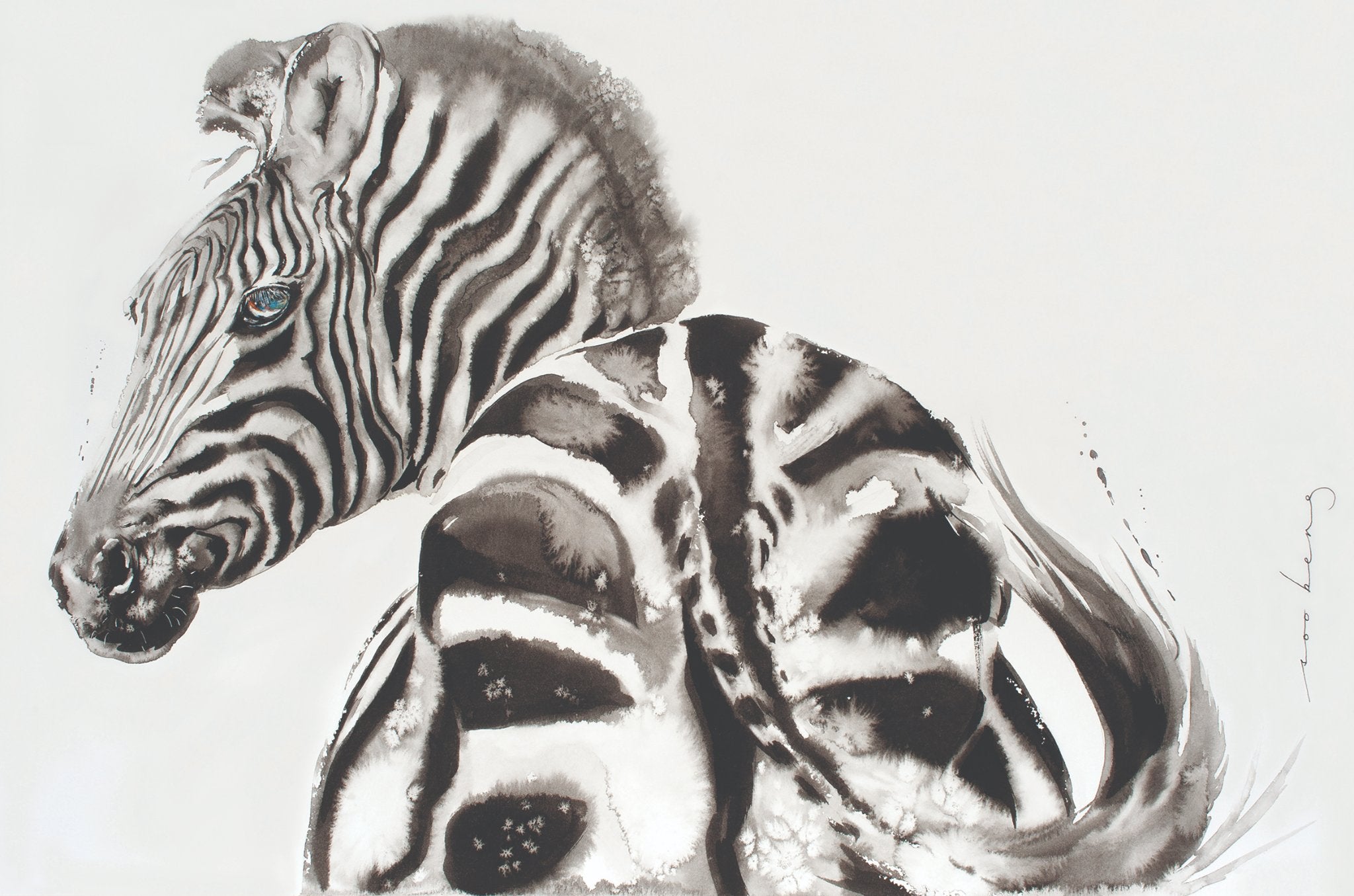 69164a62e1b8ea140711df10_dazzling-stripes_1773873122395.jpg