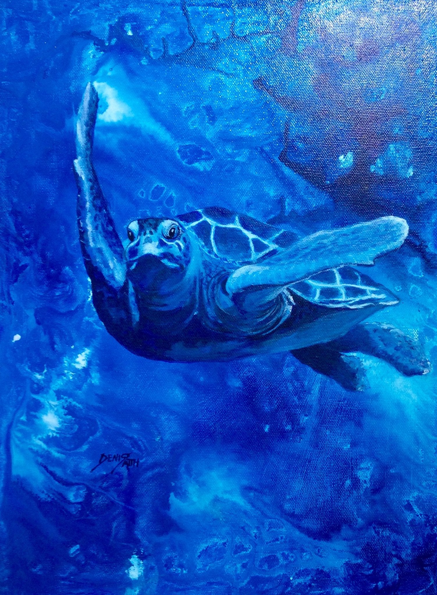 69164a62e1b8ea140711df10_denise-smith-tommy-turtle_1782189192349.jpg