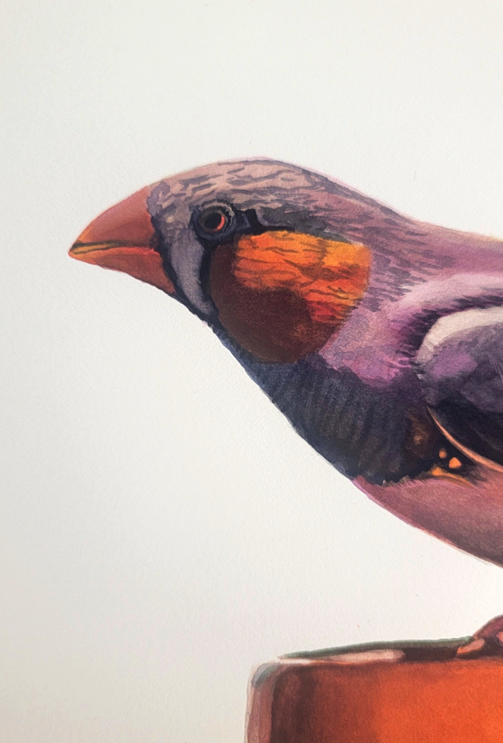 69164a62e1b8ea140711df10_detail-bird-head_1790140602731.jpg