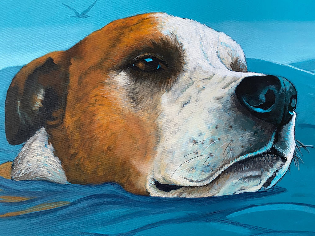 69164a62e1b8ea140711df10_dog-paddle-1_1792281543741.jpg
