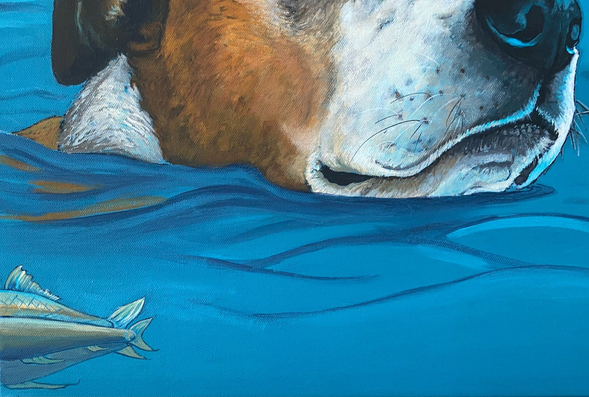 69164a62e1b8ea140711df10_dog-paddle-3_1792281598054.jpg
