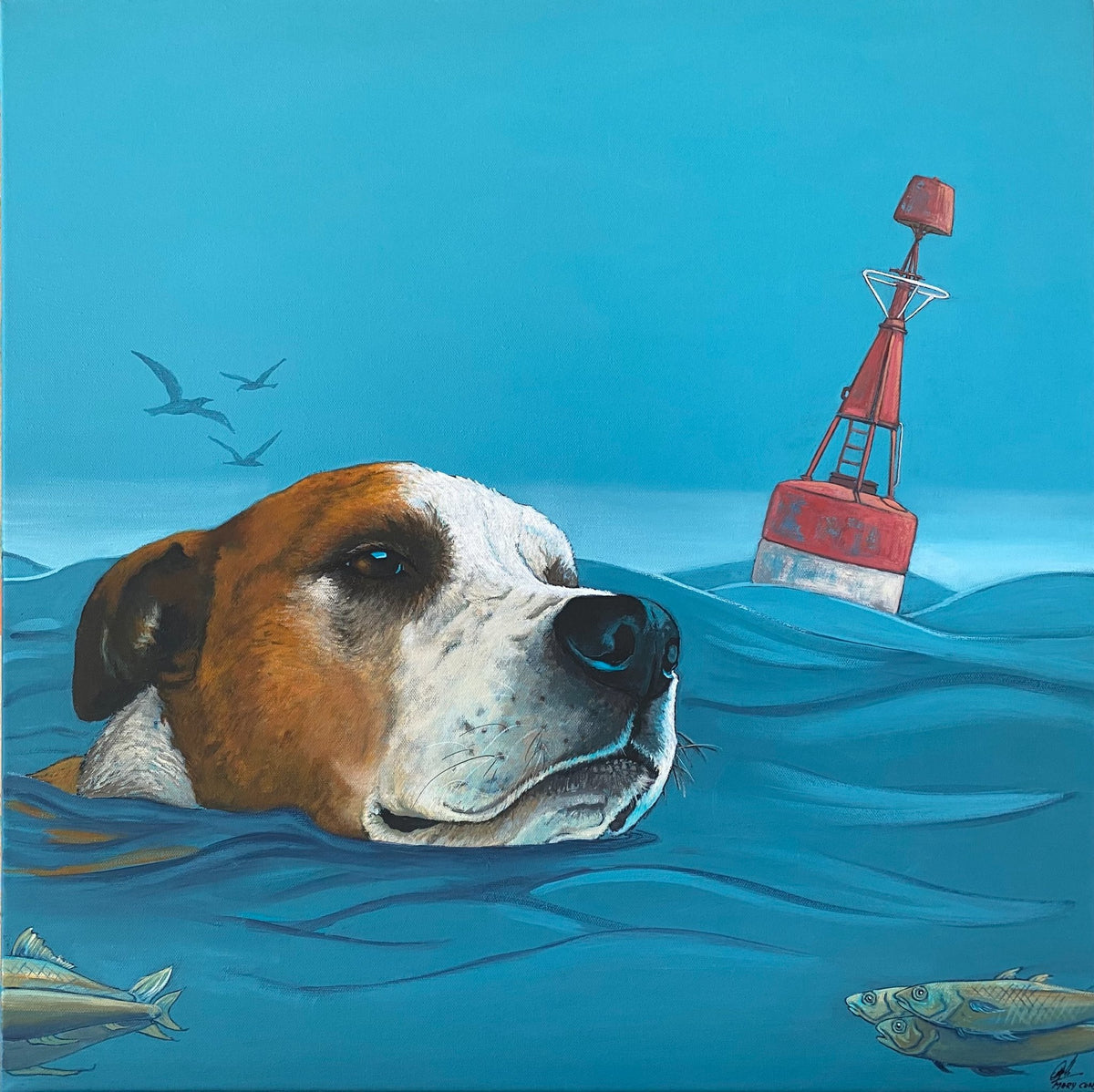 69164a62e1b8ea140711df10_dog-paddle_1792281524548.jpg