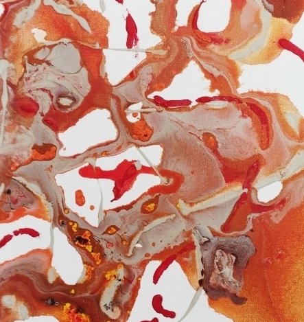 69164a62e1b8ea140711df10_dragon-red-fox-1-crop_1766914402317.jpg