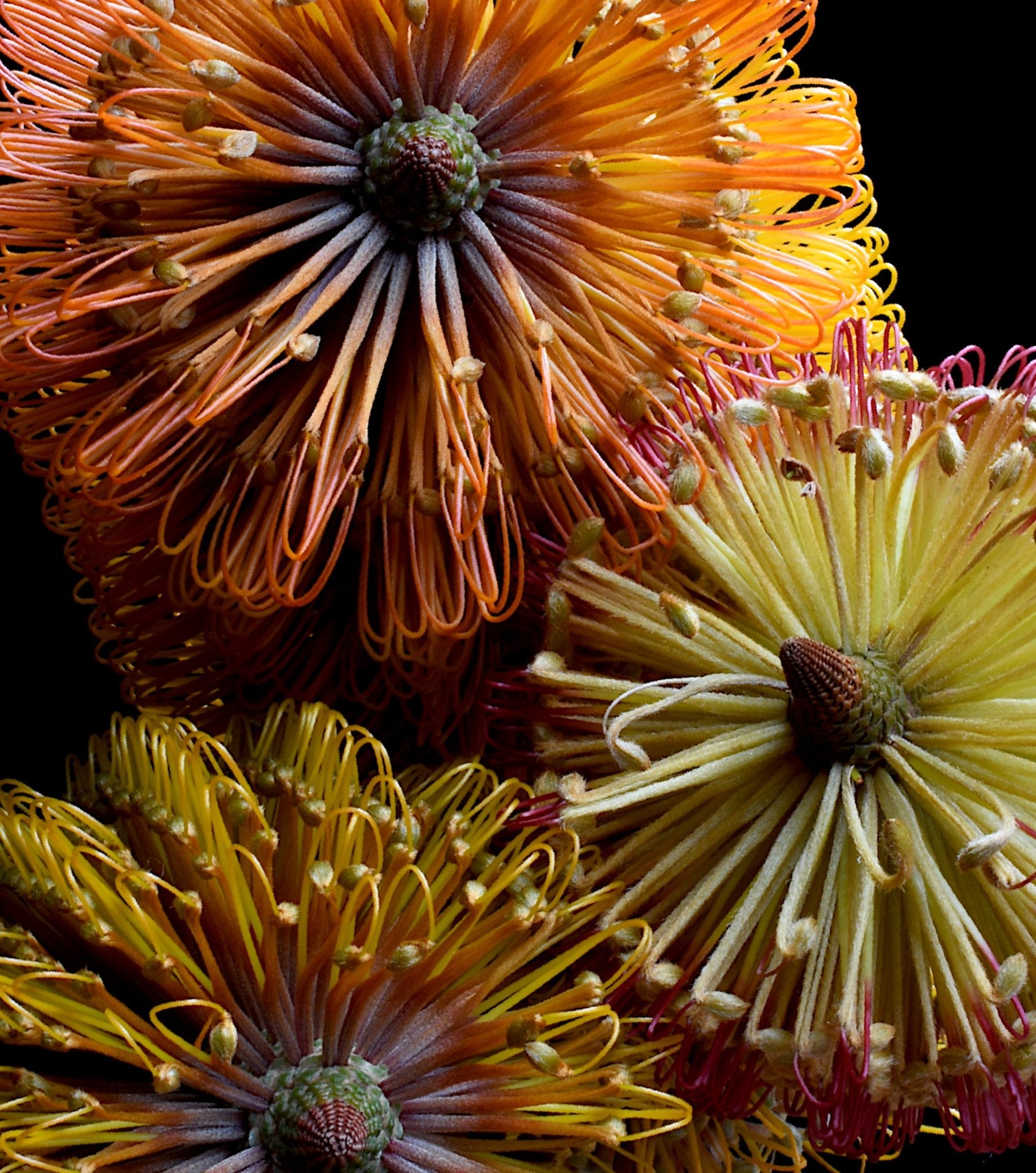 69164a62e1b8ea140711df10_dsc-1412new_1781941283419.jpg