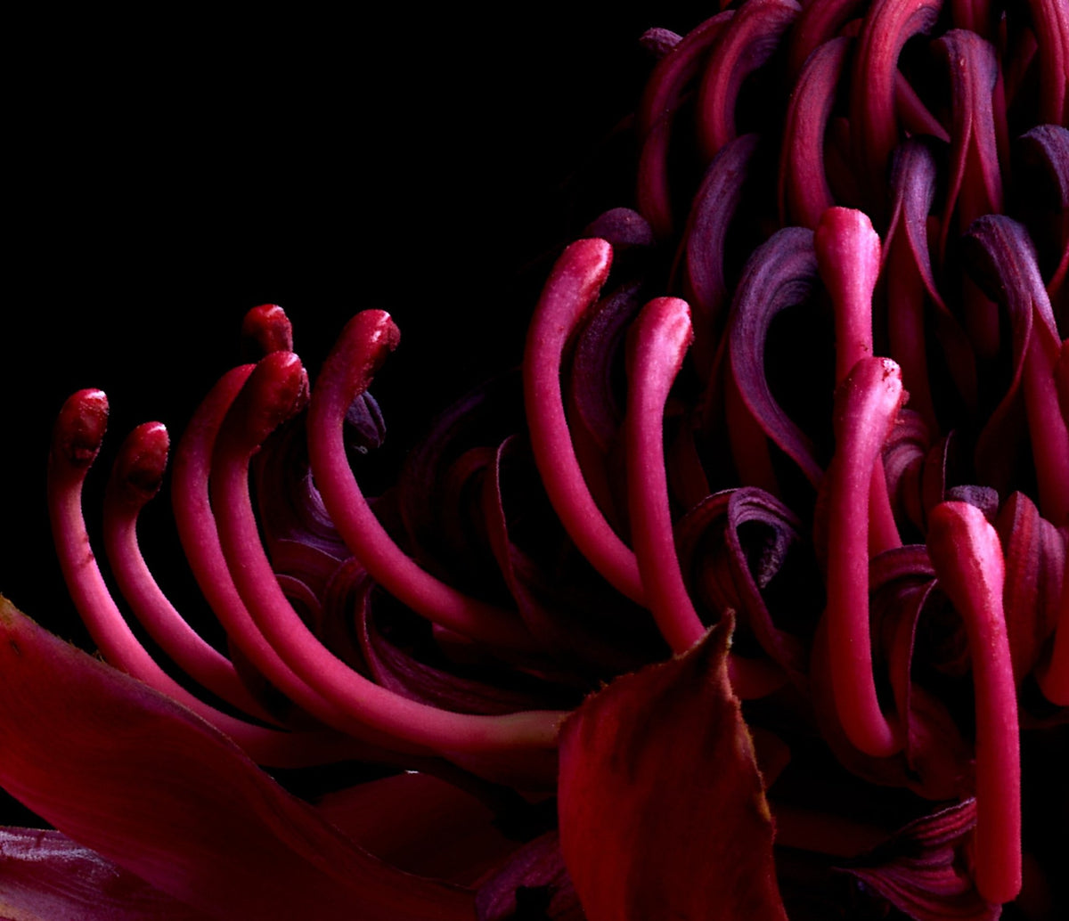 69164a62e1b8ea140711df10_dsc-2438new_1792648235659.jpg