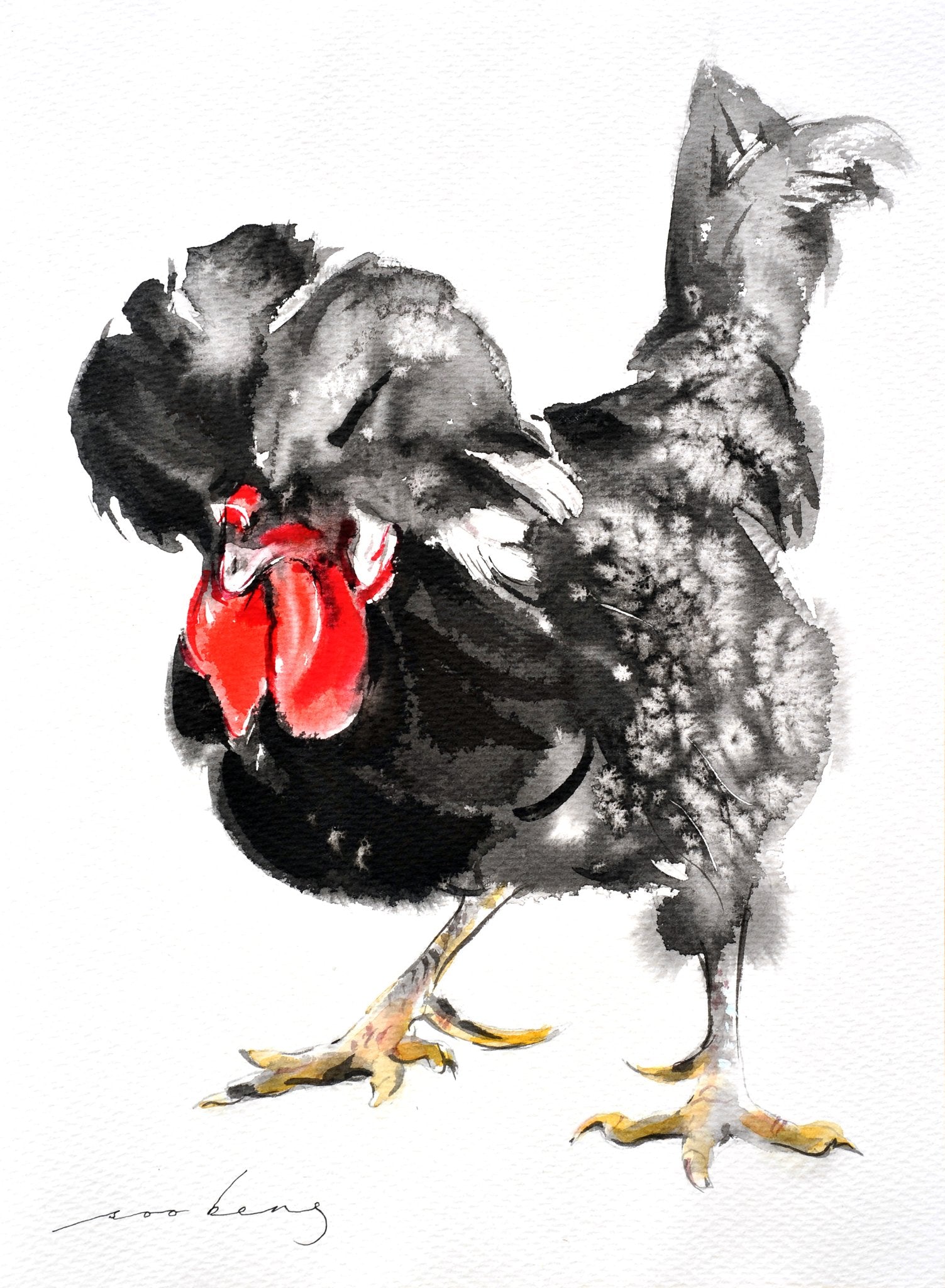 69164a62e1b8ea140711df10_dutch-rooster_1774908723587.jpg