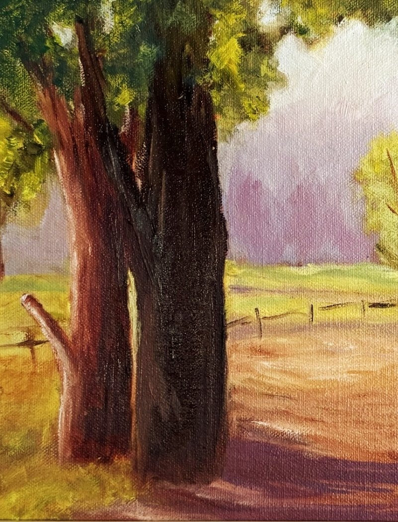 69164a62e1b8ea140711df10_dwellingup-country-road-detail_1776506818924.jpg