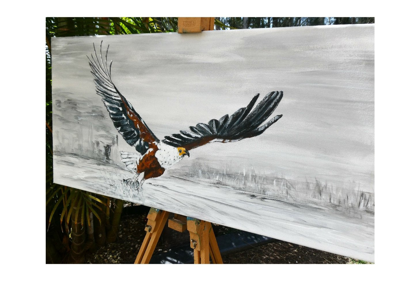 69164a62e1b8ea140711df10_eagle-1_1775610771248.jpg