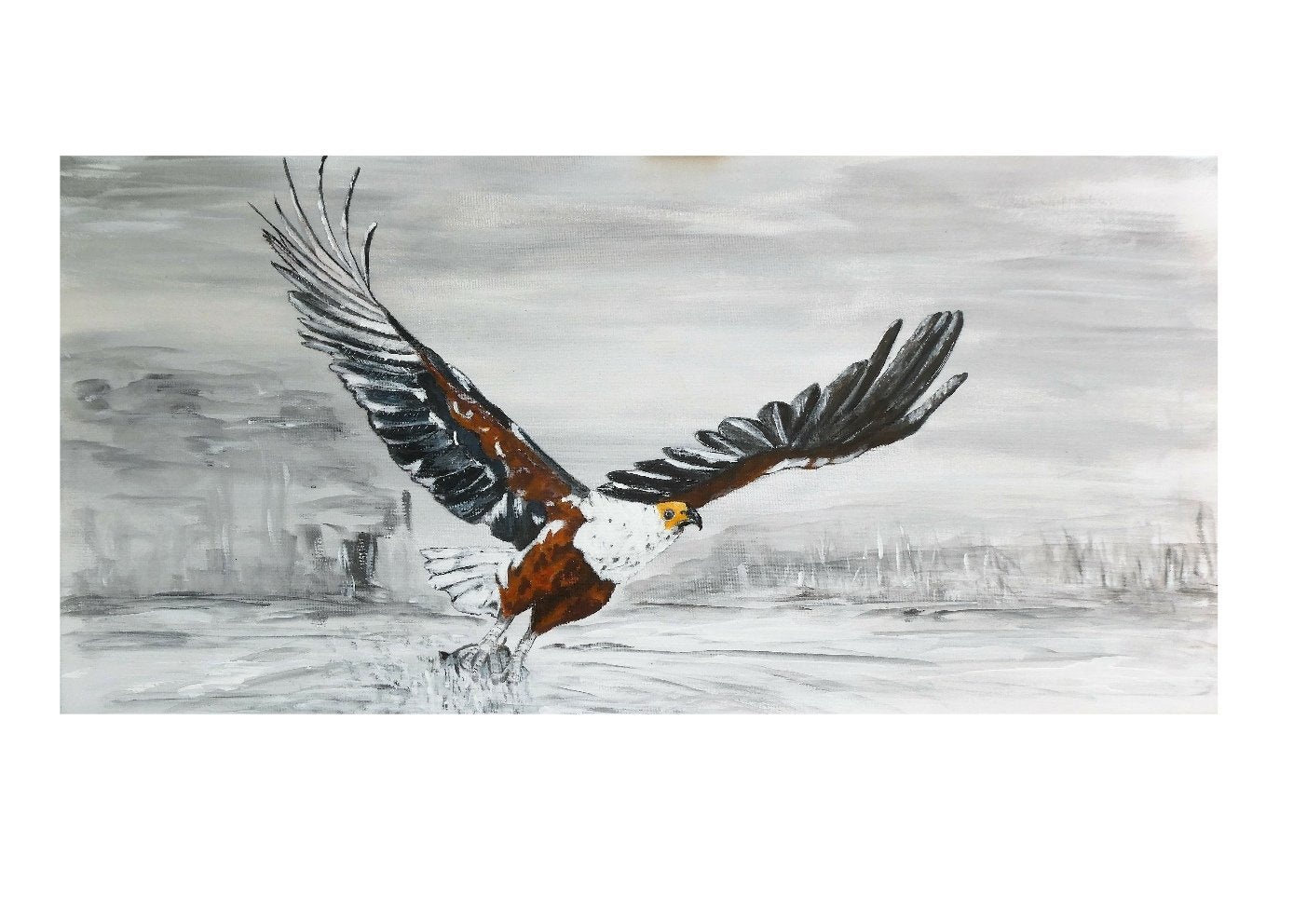 69164a62e1b8ea140711df10_eagle-2_1775610771249.jpg