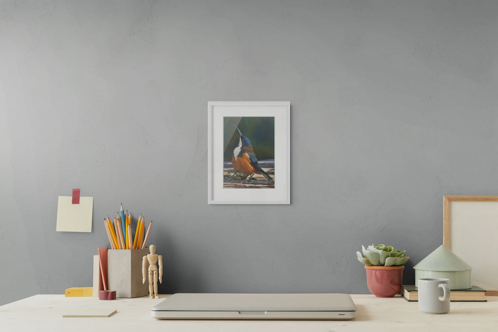 69164a62e1b8ea140711df10_eastern-spinebill-medium2_1781925937834.jpg