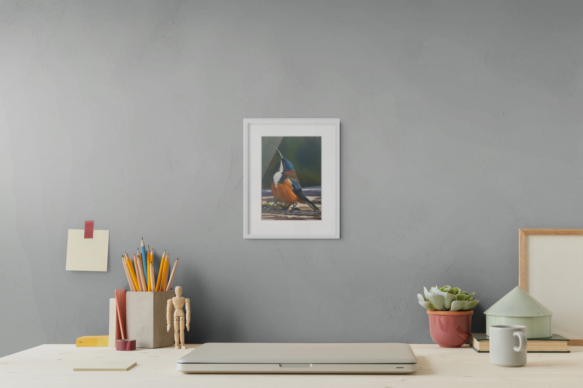 69164a62e1b8ea140711df10_eastern-spinebill-medium2_1781925937834.jpg