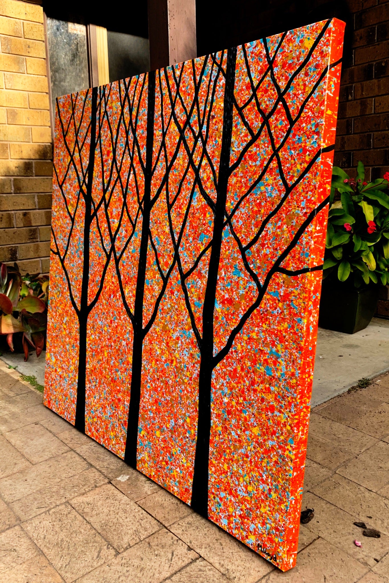 69164a62e1b8ea140711df10_edges-outback-gum-trees-by-sunset-miranda-lloyd-artist_1778826982115.jpg