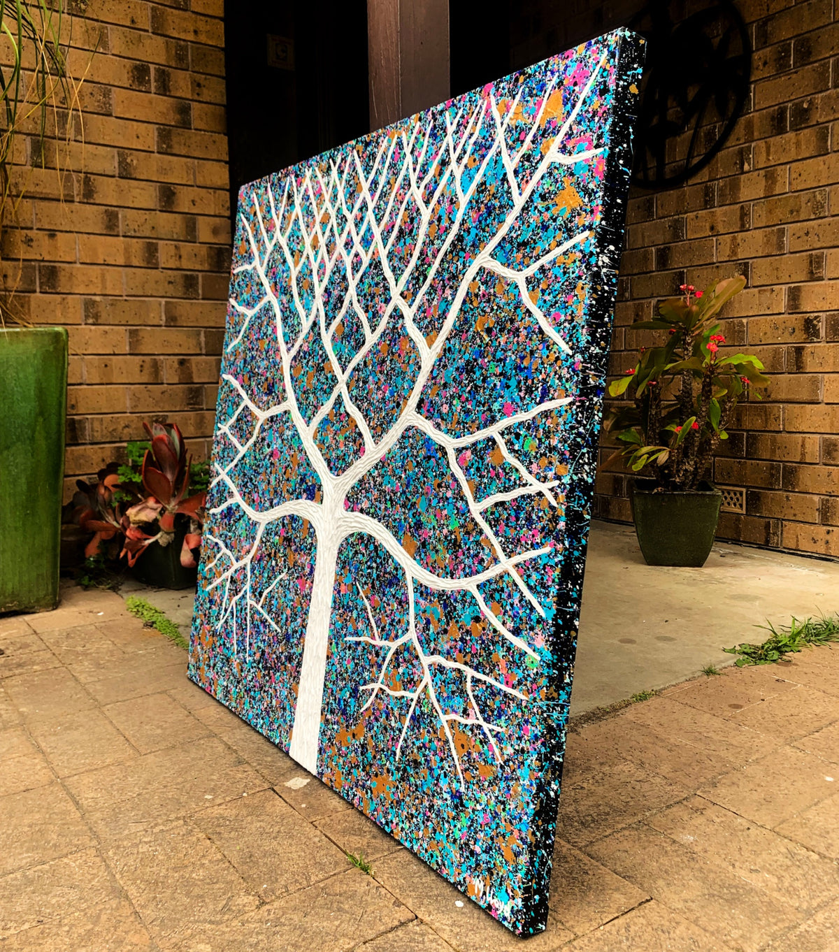 69164a62e1b8ea140711df10_edges-outback-opal-tree-91-91-miranda-lloyd_1790468997143.jpg