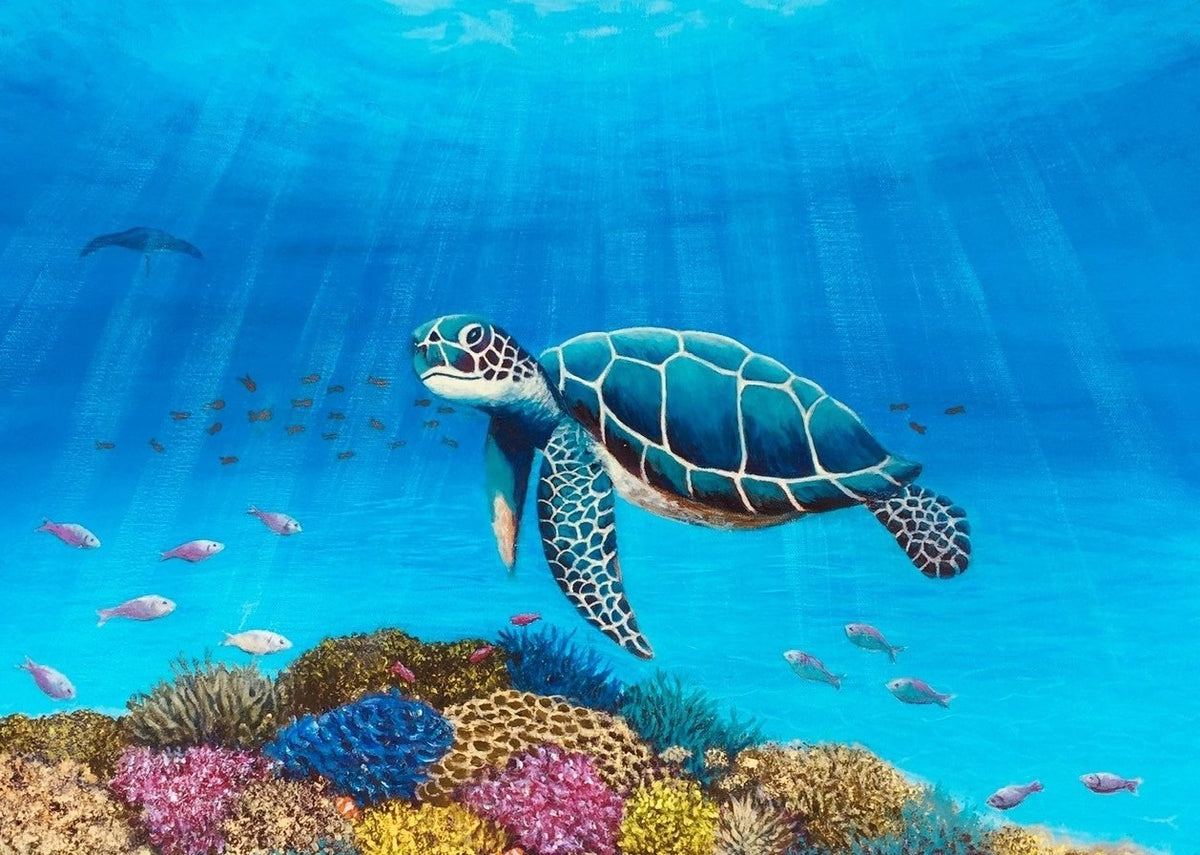 69164a62e1b8ea140711df10_ellisnewman-turtle-on-a-coral-reef_1793007006690.jpg