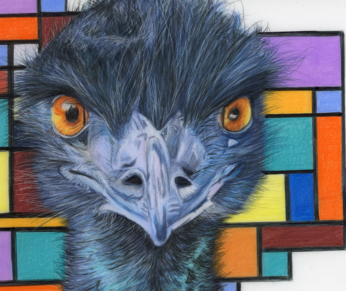 69164a62e1b8ea140711df10_emu-squared-close-up_1792737199904.jpg