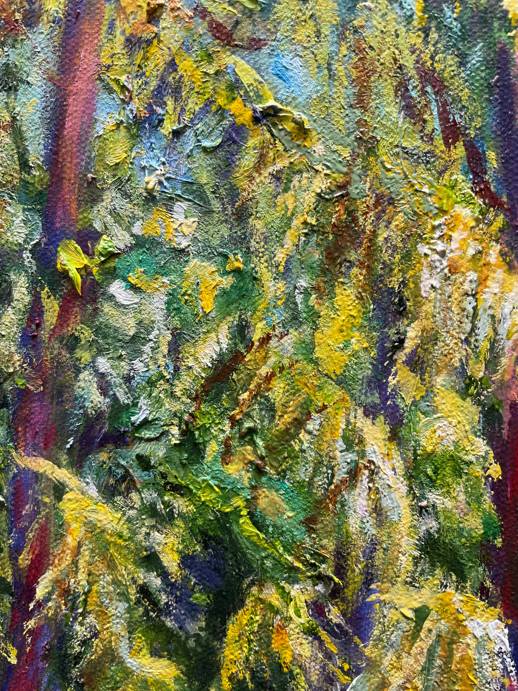 69164a62e1b8ea140711df10_enchanted-forest-closeup-2_1774767708005.jpg