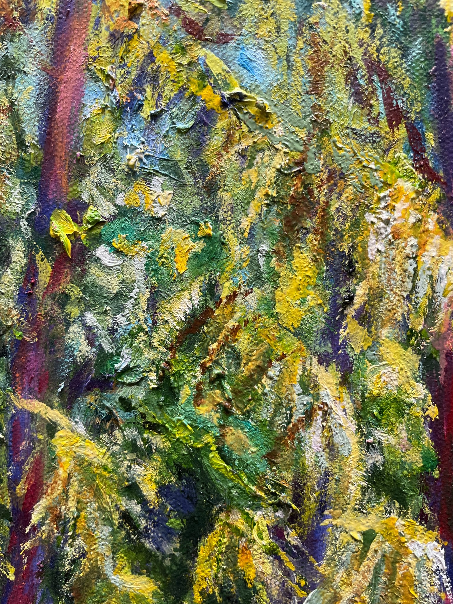 69164a62e1b8ea140711df10_enchanted-forest-closeup-2_1774767708005.jpg