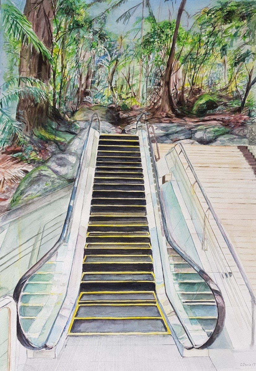 69164a62e1b8ea140711df10_escalator-to-jungle_1774930708931.jpg