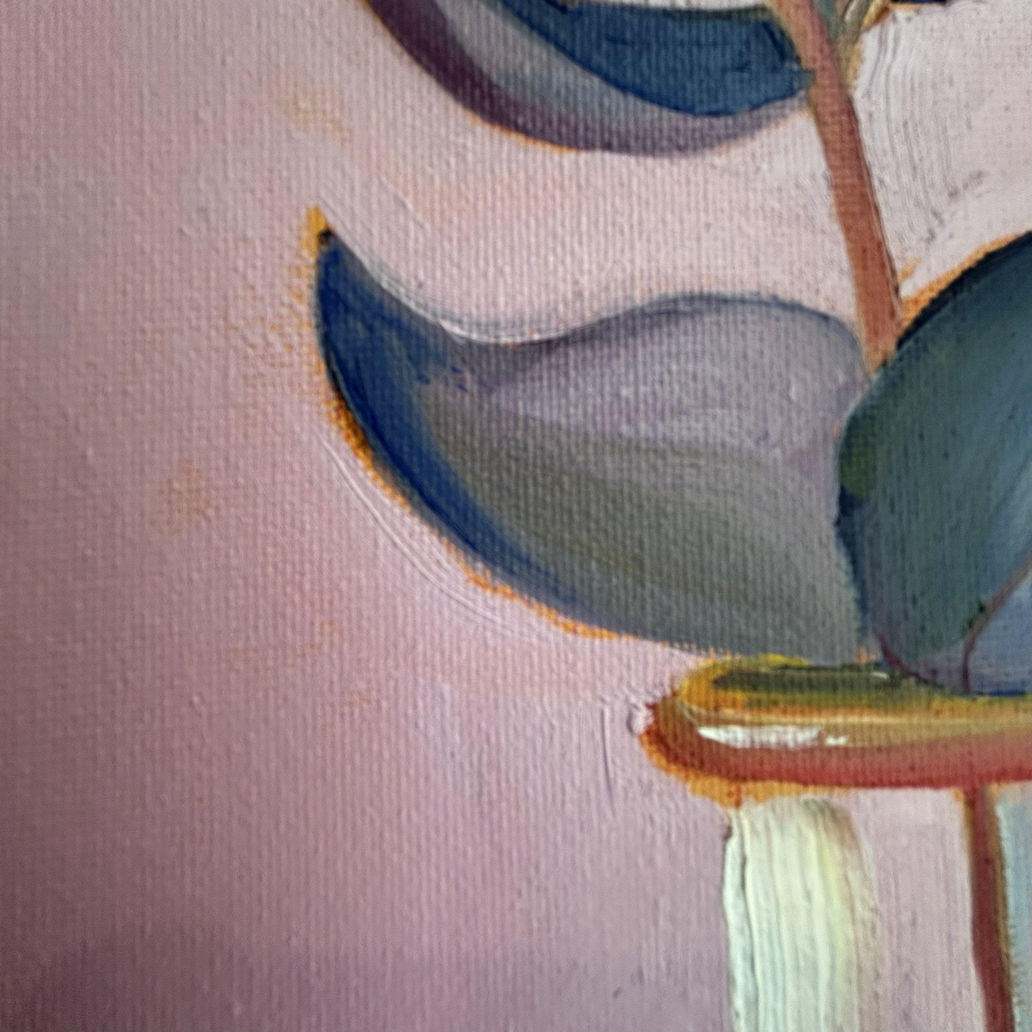 69164a62e1b8ea140711df10_eucalyptus-close-up_1778279994411.jpg