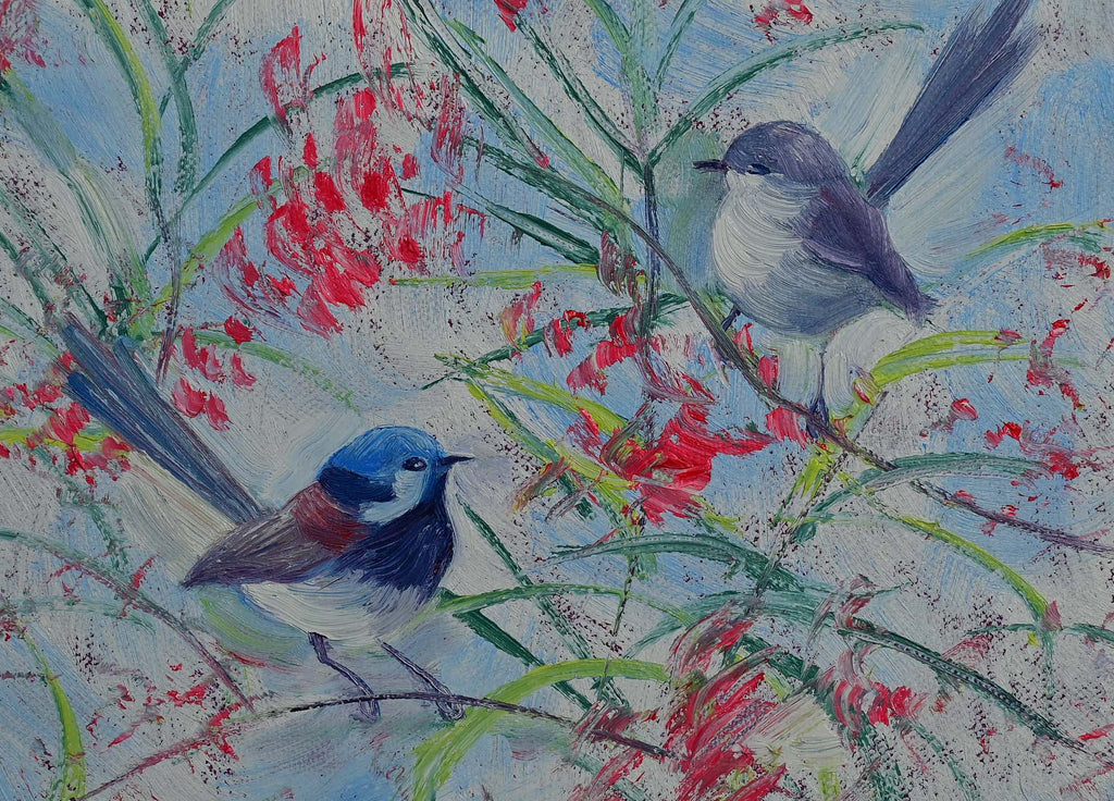 69164a62e1b8ea140711df10_fairy-wrens-detail_1777372591158.jpg