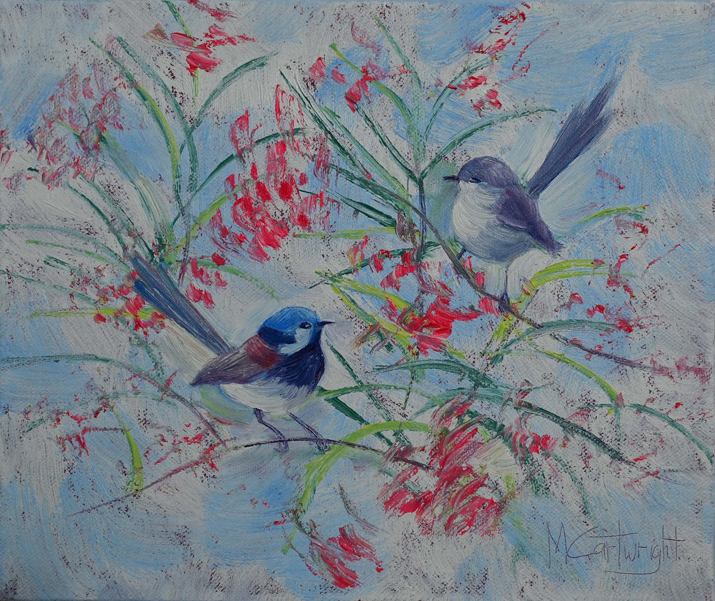 69164a62e1b8ea140711df10_fairy-wrens_1777372521741.jpg