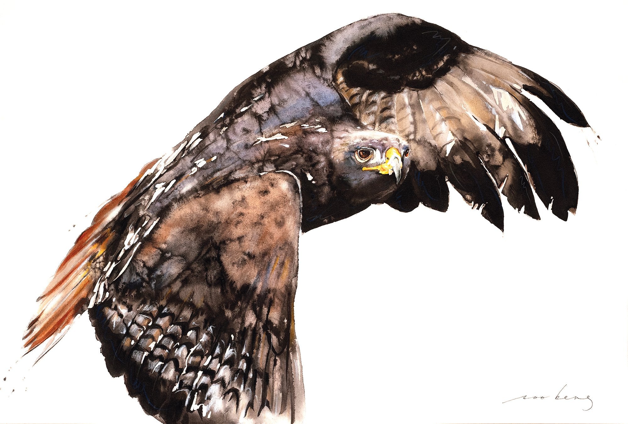69164a62e1b8ea140711df10_falcon_1775259719476.jpg