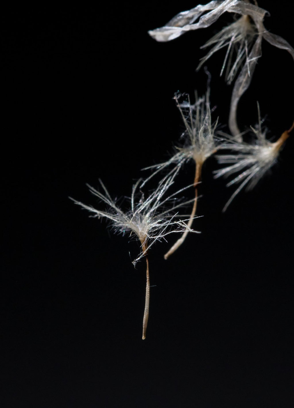 69164a62e1b8ea140711df10_falling-cropped_1779244779208.jpg