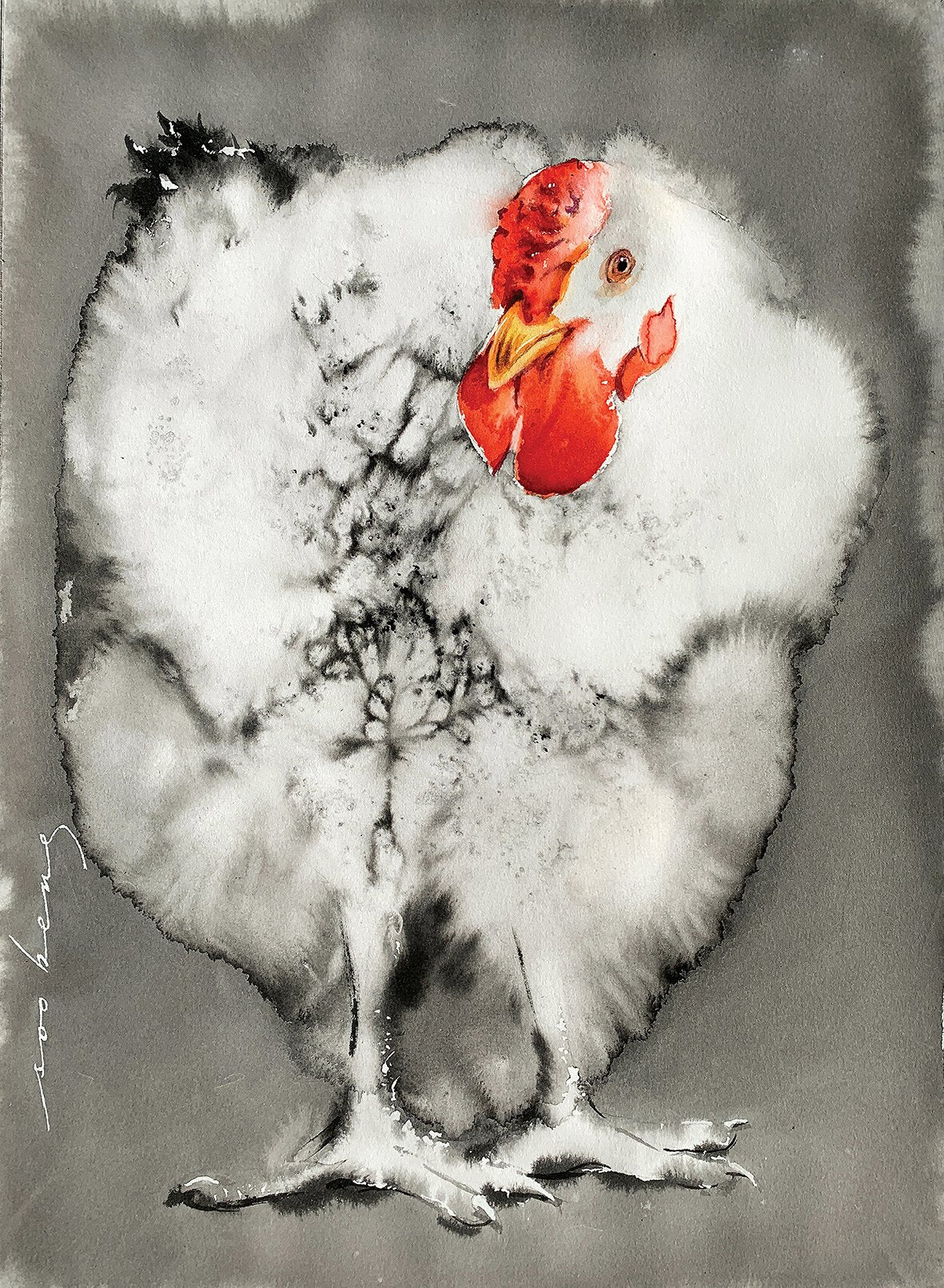 69164a62e1b8ea140711df10_feathered-life_1774075751555.jpg