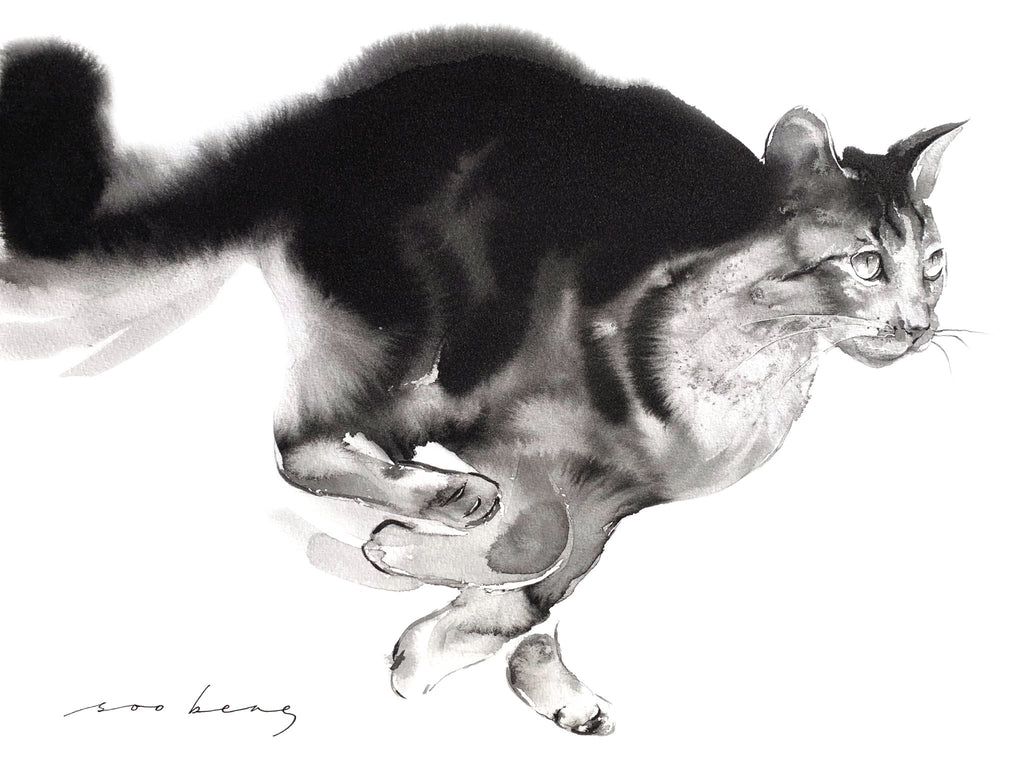 69164a62e1b8ea140711df10_feline-flight_1786681331447.jpg