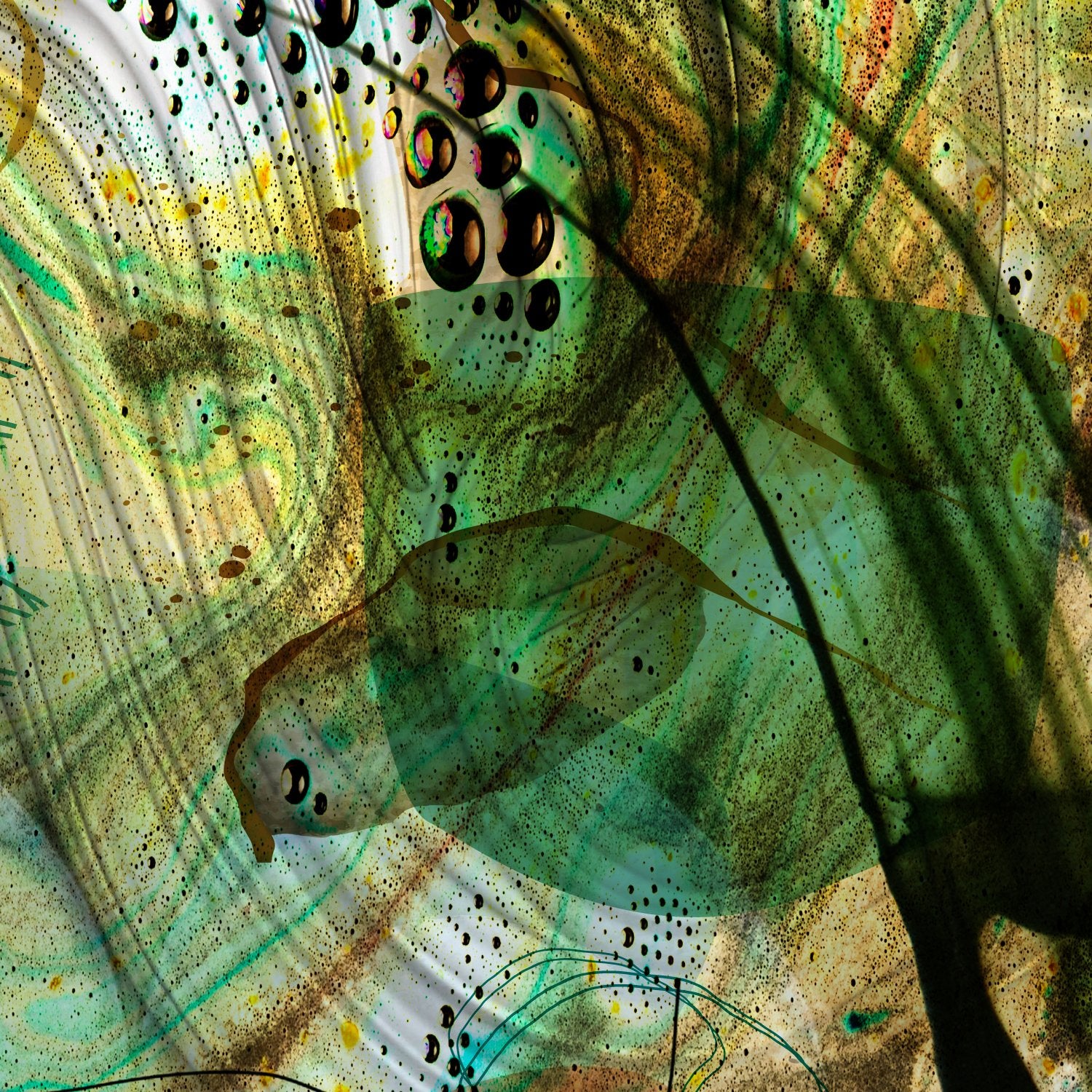 69164a62e1b8ea140711df10_field-of-life-2_1766963004021.jpg