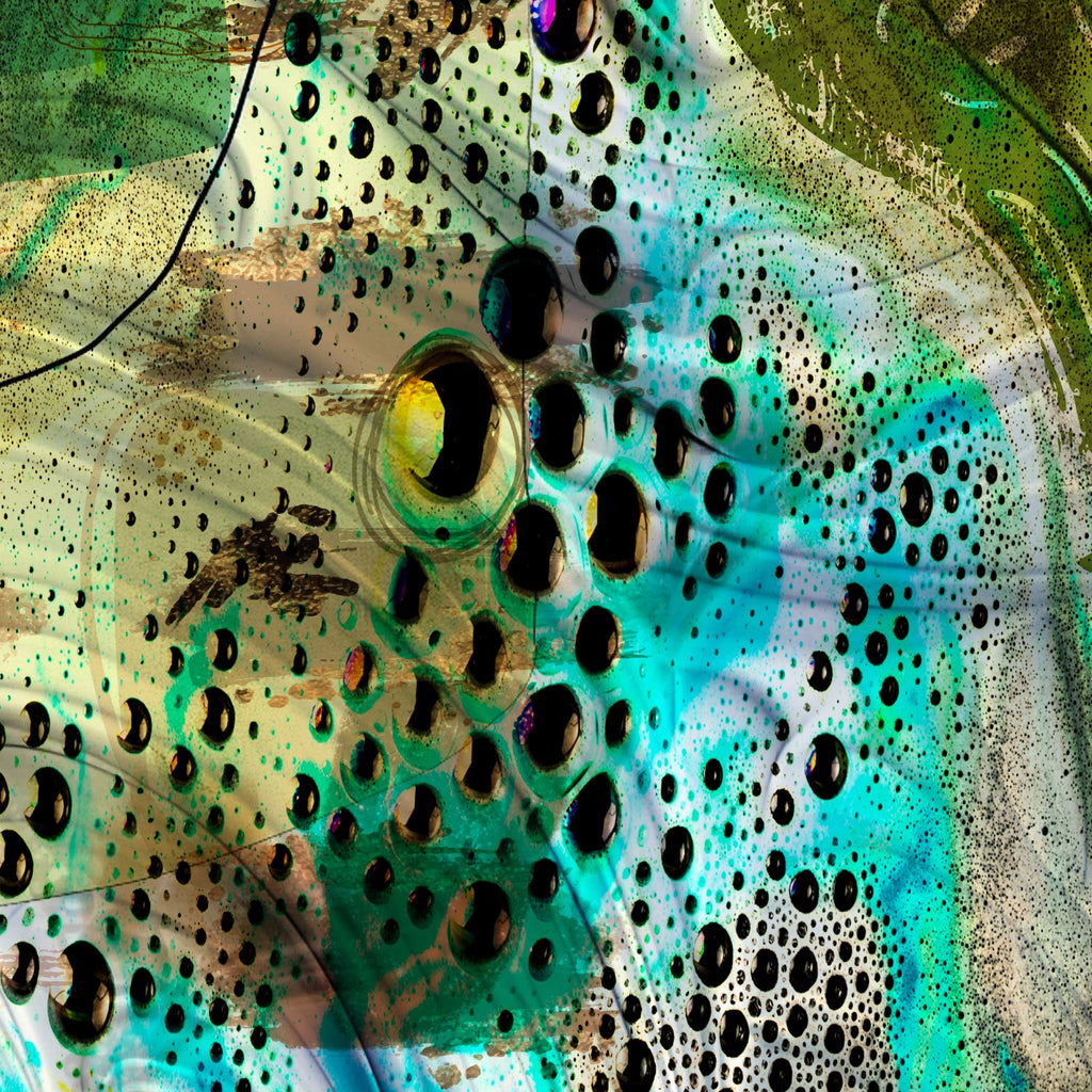 69164a62e1b8ea140711df10_field-of-life-4_1766963004022.jpg