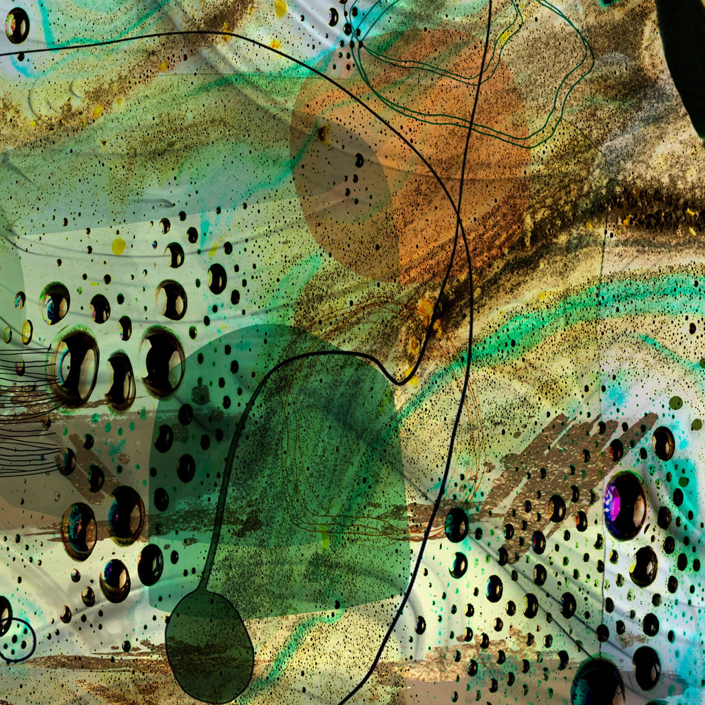 69164a62e1b8ea140711df10_field-of-life-8_1766963004026.jpg